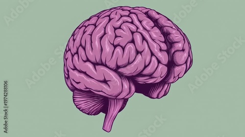 illustration of a human brain in vibrant pink color on a green background