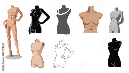 Selection of female torso mannequins in different colors and finishes displays various body shapes and lingerie styles.