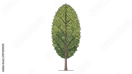Stylized green deciduous tree with a large canopy shaped like a pointed leaf standing on a plain white background.