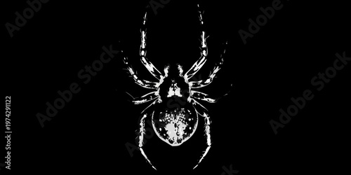 A striking spider form appears against a dark backdrop silhouette