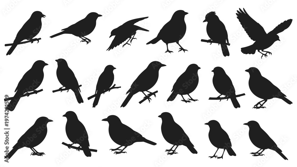Fototapeta premium Comprehensive collection of various bird silhouettes in different poses including perching on branches and flying with wings spread.