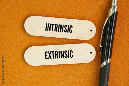 What are the two types of work values? Intrinsic and Extrinsic word. Intrinsic is about doing it for the sake of the task, while extrinsic is doing it for a result. 