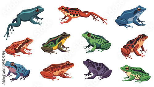 Large collection of diverse and colorful frogs in various poses showing different species with unique skin patterns and vibrant body colors.