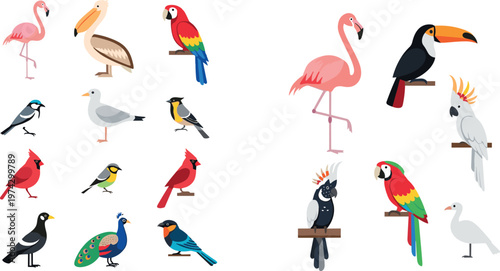 Colorful Bird Species Collection Featuring Flamingo Toucan Parrot Peacock Cardinal Seagull and Exotic Wildlife in Flat Cartoon Style Illustration Set