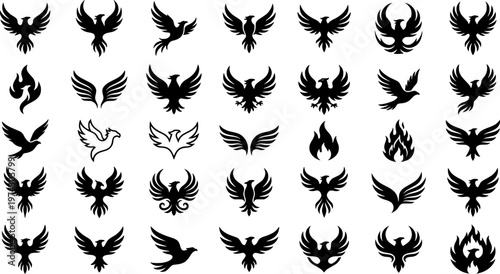 Elegant phoenix designs on gradient background for creative inspiration
