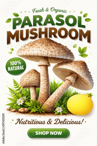 Parasol mushroom banner promoting fresh and organic produce