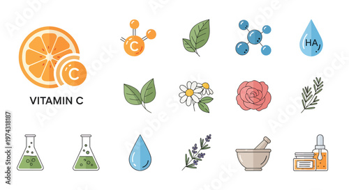 Natural skincare ingredients icons set with Vitamin C orange, chamomile, rose and laboratory equipment, illustrating organic beauty formulations, provides dermatological product branding