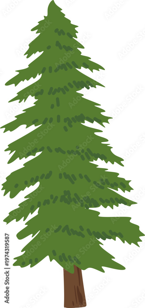 Obraz premium Pine Tree Illustration