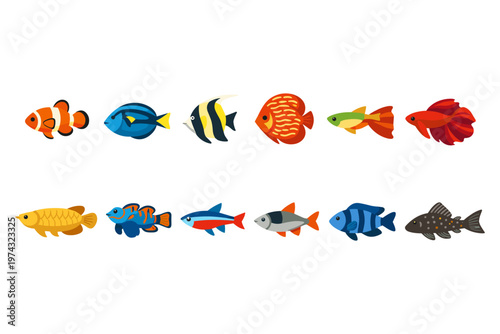 Collection Of Tropical Aquarium Fish