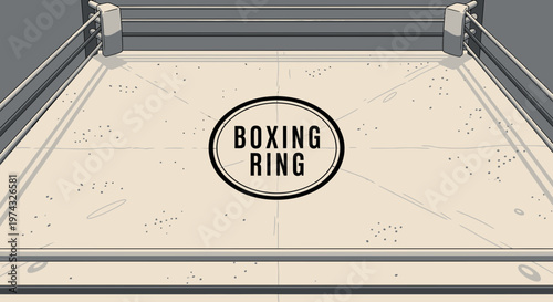 Boxing Ring Arena Center Sport Competition Space Empty Arena For Fighters