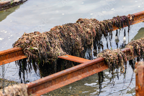 fishing nets on the dock