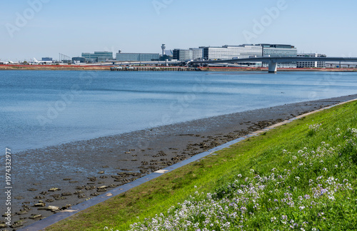 都県境を流れる多摩川の河口の風景