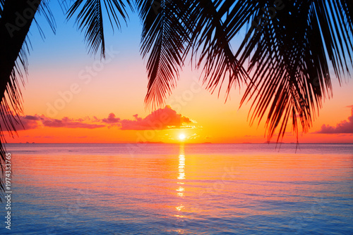 Sea beach sunset, ocean sunrise, tropical island landscape, coconut palm tree leaves silhouette, colorful red orange sky, golden sun reflection on blue water waves, summer holidays, vacation, travel