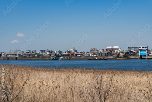 都県境を流れる多摩川の河口の風景