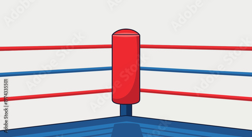 Corner Boxing Ring With Red And Blue Ropes For Competition And Training