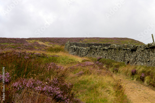 dirt road in the fields, haworth, brontë country