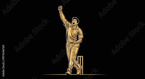 Dynamic Cricket Player Silhouette Celebrating A Victorious Moment