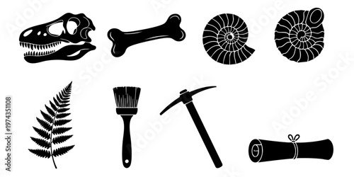 Fossilized dinosaur skull and bone along with a paintbrush and pickaxe lie next to a ferns and ammonites.