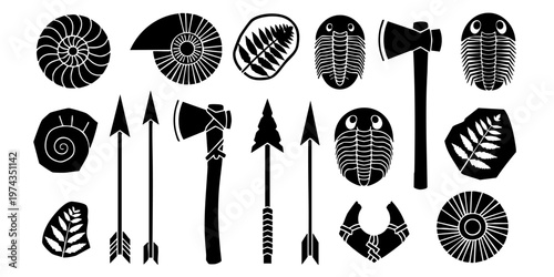 Fossilized animal remains and prehistoric hunting tools on display