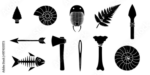 Prehistoric tools and fossils are displayed on a surface.