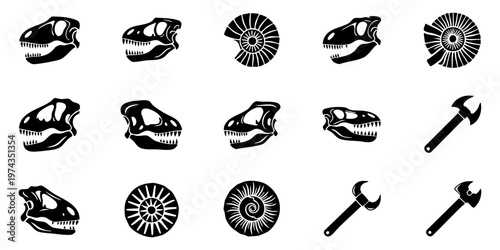 Fossils and tools are displayed together on a plain surface.