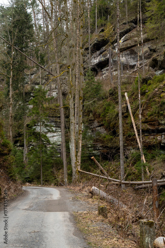 Wandern im März auf der Zeughausstraße in der Sächsischen Schweiz 3