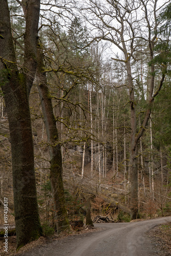 Wandern im März auf der Zeughausstraße in der Sächsischen Schweiz 1