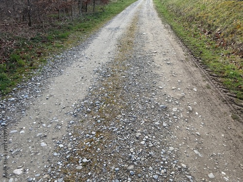 dirt road in the countryside