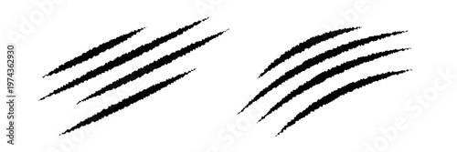 Black claw scratch marks with torn edges. Wild animal slash traces showing sharp nail damage. Design element for horror, fantasy, mystery, Halloween. Realistic vector illustrations set.