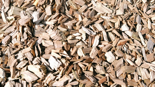 Wood shavings. Abstract wooden background. Natural background. Organic background.