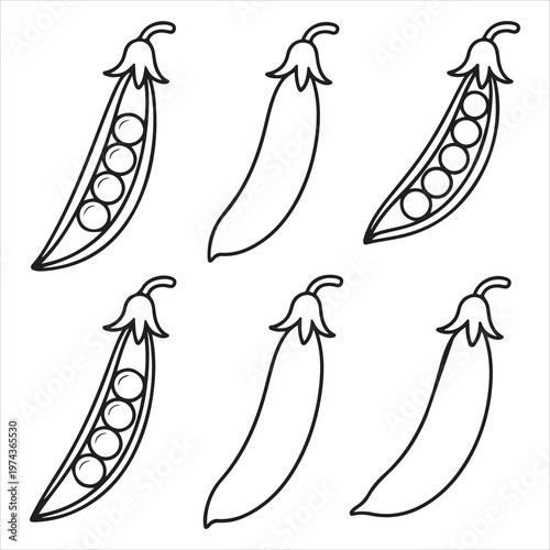 A drawing of peas and pea pods