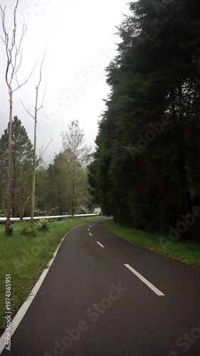 Wallpaper Mural A paved nature trail that crosses a geothermal source with misty steam blanketing the surrounding forest. Torontodigital.ca