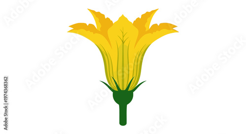 Bright Yellow Flower Closeup View.