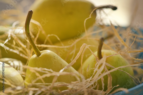 Closeup Ripe pears in a basket