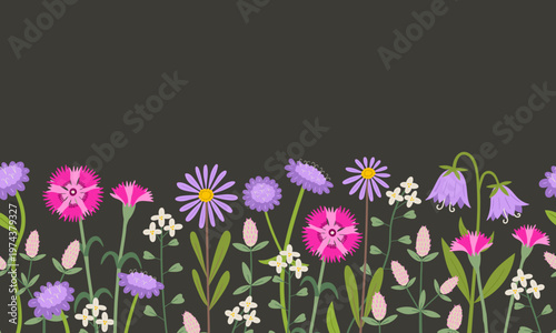 Pink wildflowers seamless border. Delicate pink hand drawn dianthus, scabious, clover flowers vector print. Botanical spring nature motifs. Seasonal floral blossom background.