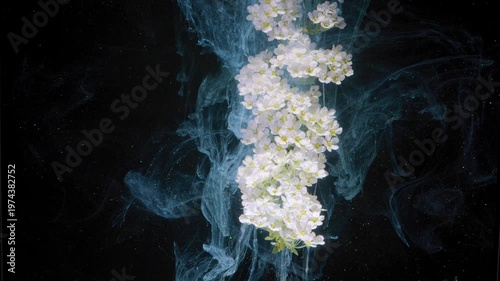 Blue ink sculpture with illumination. Submarine floral installation descending through navy ink to showcase light and movement contrast