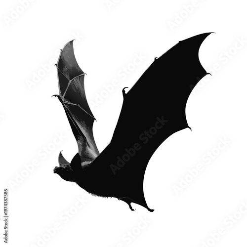 Black bat silhouette, flying mammal, dark wings, Halloween icon, nocturnal animal