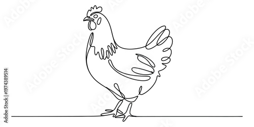 A minimalist single continuous line drawing of a farm chicken standing in a simple profile view