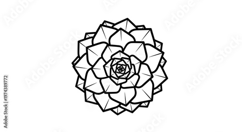 Minimalist succulent plant outline in black and white
