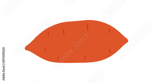 Simple orange sweet potato vegetable isolated on white background