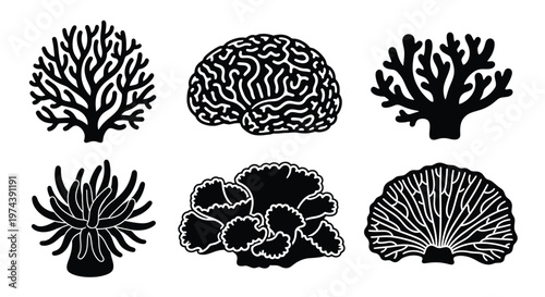 Collection of Marine Life and Brain Silhouettes coral