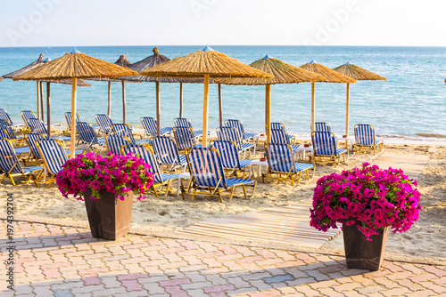 Colorful flowers and umbrellas at sandy beach, Greece