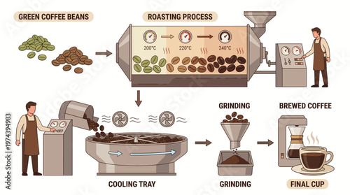 Flat Design Illustration of the Coffee Roasting Process from Green Beans to Brewed Cup