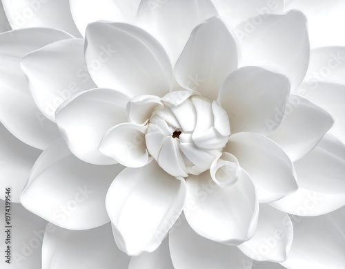 A close-up shot showcases the delicate beauty of a white flower, its petals meticulously arranged and highlighted. The soft lighting creates depth