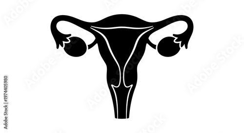 Black and White Silhouette of Female Reproductive System.