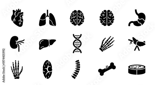 Black and White Silhouettes of Human Body Organs and Anatomy.