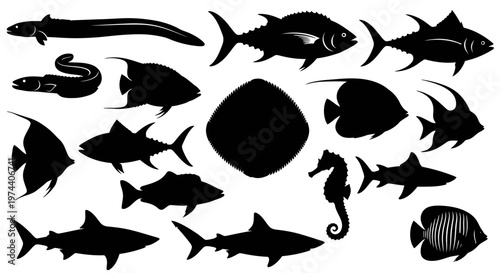 Black silhouettes of various fish species.