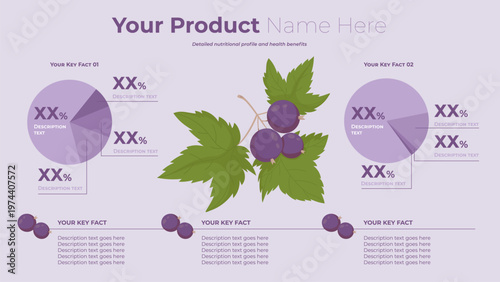 Black Currant Product Infographic Template. Horizontal Layout with Customizable Data Charts and Placeholder Placeholder Text Block, Numbers and Botanical Branch Purple Berries. Vector Illustration.