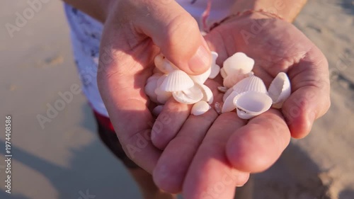 Close shot of white shells resting in hands while fingers move them gently. A warm, minimal and meditative beach moment, top view.