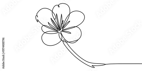 A minimalist black and white single line drawing of a delicate flower with a long slender stem